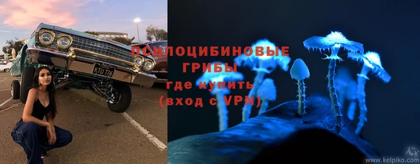 MDMA Бородино